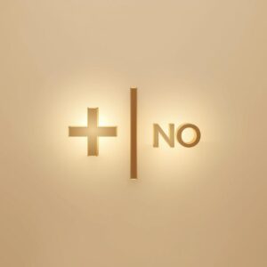 Taip/Ne (su minimaliu paaiškinimu)